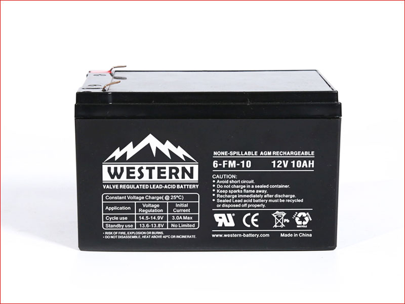 6-FM-10 FM Series UPS Battery