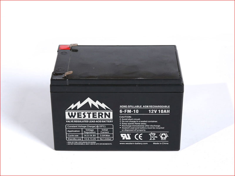 6-FM-10 FM Series UPS Battery