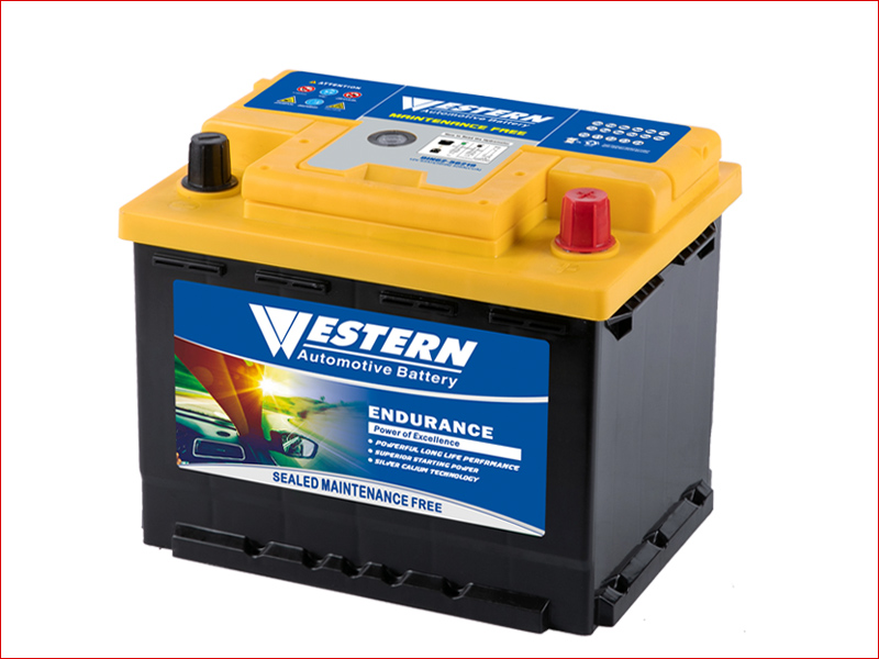 DIN62-56219 Maintenance Free Car Battery